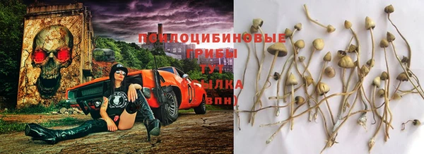 прущие крисы Волоколамск