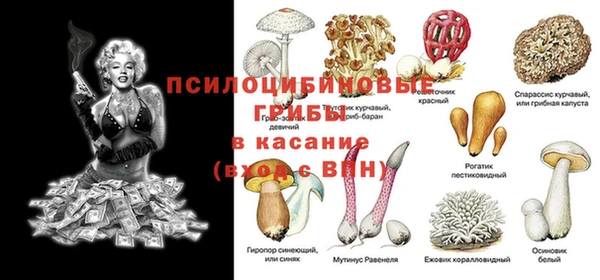 spice Волосово