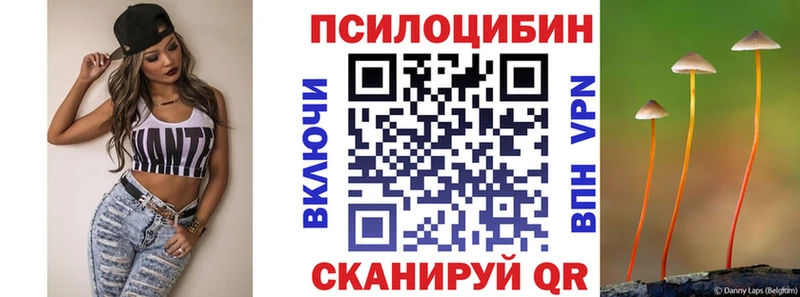 Галлюциногенные грибы прущие грибы  Купить  Волгоград 
